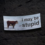 I May Be Stupid Bumper Sticker