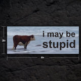 I May Be Stupid Bumper Sticker