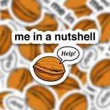 Me In A Nutshell