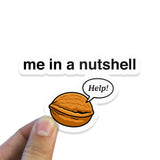 Me In A Nutshell