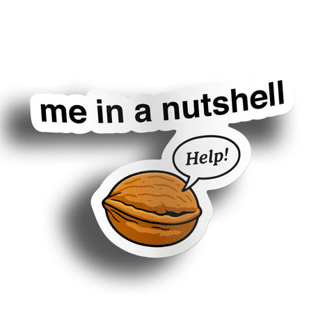 Me In A Nutshell